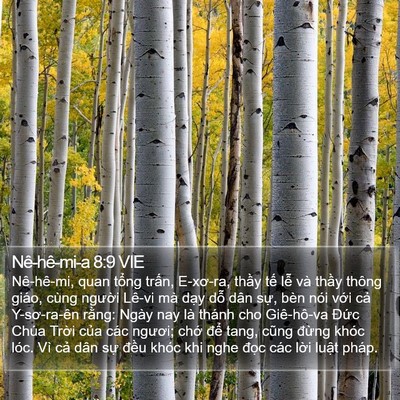 Nê-hê-mi-a 8:9 VIE Bible Verse Image