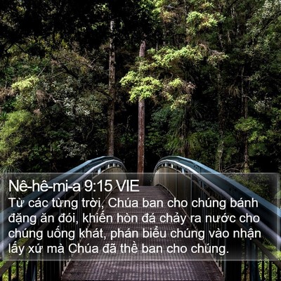 Nê-hê-mi-a 9:15 VIE Bible Verse Image