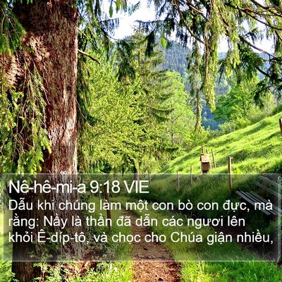 Nê-hê-mi-a 9:18 VIE Bible Verse Image
