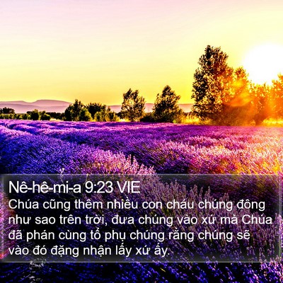 Nê-hê-mi-a 9:23 VIE Bible Verse Image