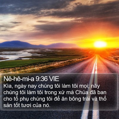 Nê-hê-mi-a 9:36 VIE Bible Verse Image
