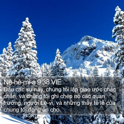 Nê-hê-mi-a 9:38 VIE Bible Verse Image