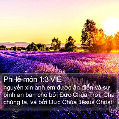 Phi-lê-môn 1:3 VIE Bible Verse Image