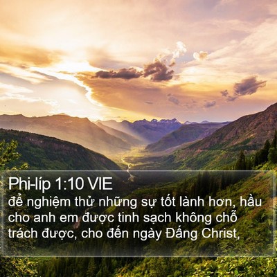 Phi-líp 1:10 VIE Bible Verse Image