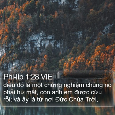 Phi-líp 1:28 VIE Bible Verse Image