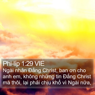 Phi-líp 1:29 VIE Bible Verse Image