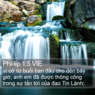 Phi-líp 1:5 VIE Bible Verse Image