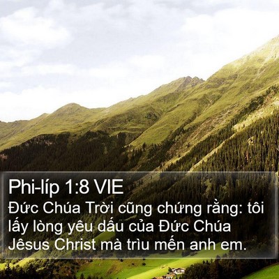 Phi-líp 1:8 VIE Bible Verse Image