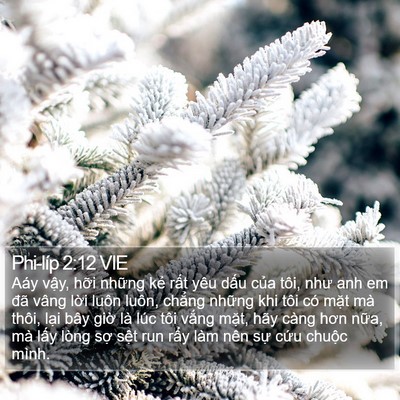 Phi-líp 2:12 VIE Bible Verse Image