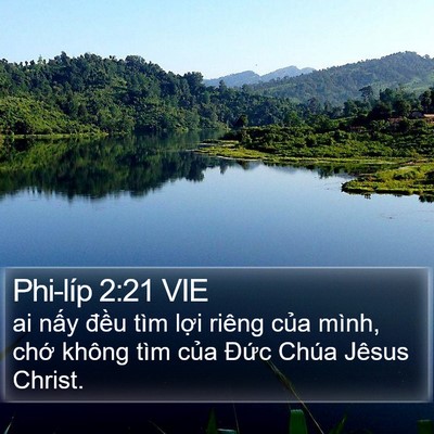 Phi-líp 2:21 VIE Bible Verse Image