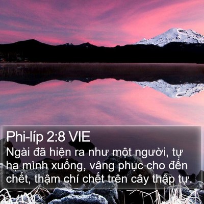 Phi-líp 2:8 VIE Bible Verse Image