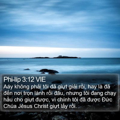 Phi-líp 3:12 VIE Bible Verse Image