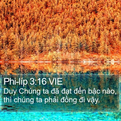 Phi-líp 3:16 VIE Bible Verse Image