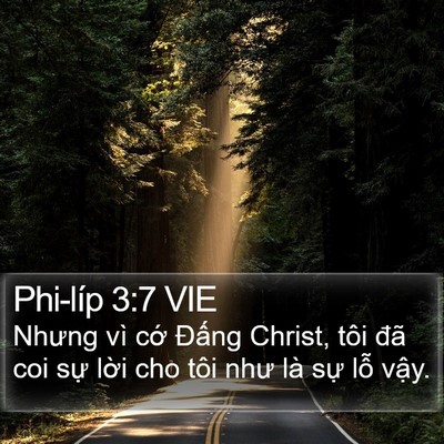 Phi-líp 3:7 VIE Bible Verse Image