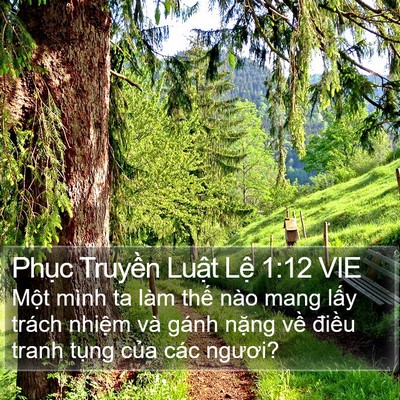 Phục Truyền Luật Lệ 1:12 VIE Bible Verse Image