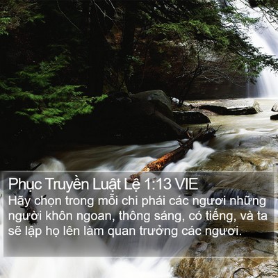Phục Truyền Luật Lệ 1:13 VIE Bible Verse Image