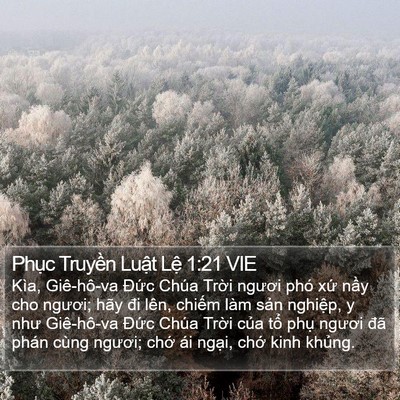 Phục Truyền Luật Lệ 1:21 VIE Bible Verse Image