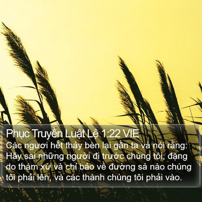 Phục Truyền Luật Lệ 1:22 VIE Bible Verse Image
