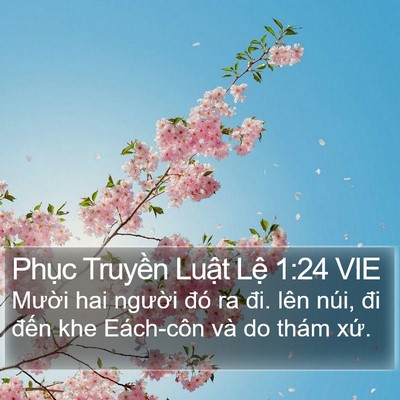 Phục Truyền Luật Lệ 1:24 VIE Bible Verse Image