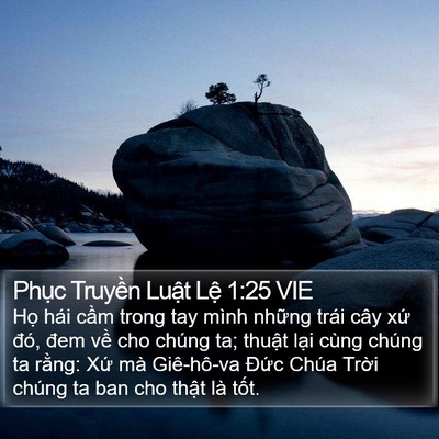 Phục Truyền Luật Lệ 1:25 VIE Bible Verse Image