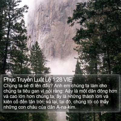 Phục Truyền Luật Lệ 1:28 VIE Bible Verse Image
