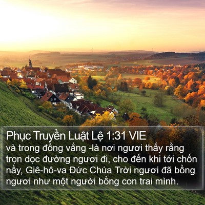 Phục Truyền Luật Lệ 1:31 VIE Bible Verse Image