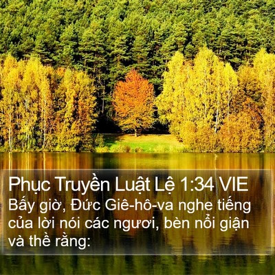 Phục Truyền Luật Lệ 1:34 VIE Bible Verse Image
