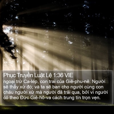 Phục Truyền Luật Lệ 1:36 VIE Bible Verse Image