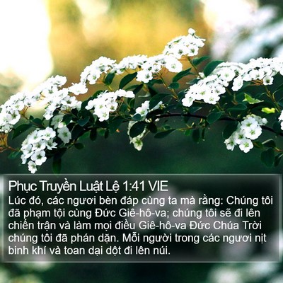 Phục Truyền Luật Lệ 1:41 VIE Bible Verse Image