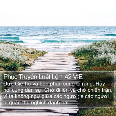 Phục Truyền Luật Lệ 1:42 VIE Bible Verse Image