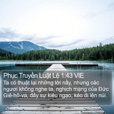 Phục Truyền Luật Lệ 1:43 VIE Bible Verse Image