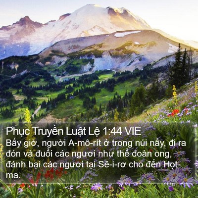 Phục Truyền Luật Lệ 1:44 VIE Bible Verse Image
