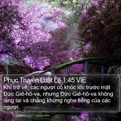 Phục Truyền Luật Lệ 1:45 VIE Bible Verse Image