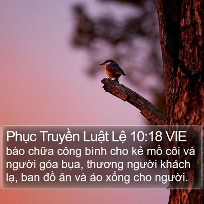 Phục Truyền Luật Lệ 10:18 VIE Bible Verse Image