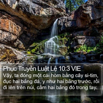 Phục Truyền Luật Lệ 10:3 VIE Bible Verse Image