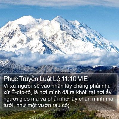 Phục Truyền Luật Lệ 11:10 VIE Bible Verse Image