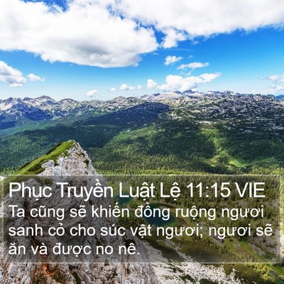 Phục Truyền Luật Lệ 11:15 VIE Bible Verse Image