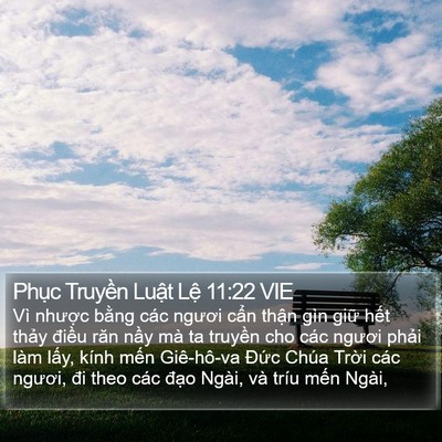 Phục Truyền Luật Lệ 11:22 VIE Bible Verse Image