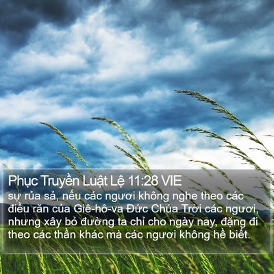 Phục Truyền Luật Lệ 11:28 VIE Bible Verse Image