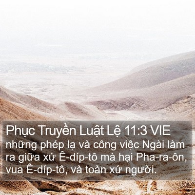 Phục Truyền Luật Lệ 11:3 VIE Bible Verse Image