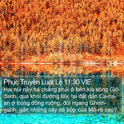 Phục Truyền Luật Lệ 11:30 VIE Bible Verse Image
