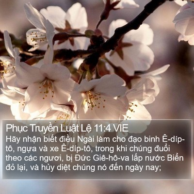 Phục Truyền Luật Lệ 11:4 VIE Bible Verse Image