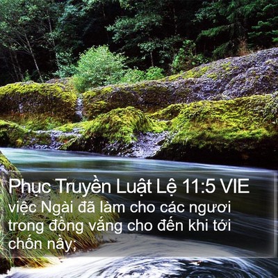 Phục Truyền Luật Lệ 11:5 VIE Bible Verse Image