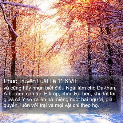 Phục Truyền Luật Lệ 11:6 VIE Bible Verse Image