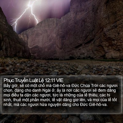 Phục Truyền Luật Lệ 12:11 VIE Bible Verse Image