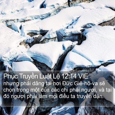 Phục Truyền Luật Lệ 12:14 VIE Bible Verse Image