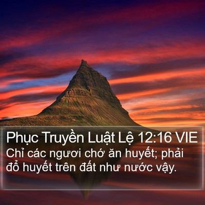 Phục Truyền Luật Lệ 12:16 VIE Bible Verse Image