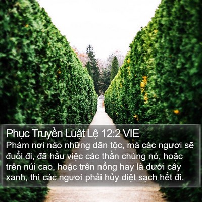 Phục Truyền Luật Lệ 12:2 VIE Bible Verse Image