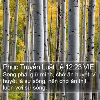 Phục Truyền Luật Lệ 12:23 VIE Bible Verse Image