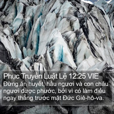 Phục Truyền Luật Lệ 12:25 VIE Bible Verse Image